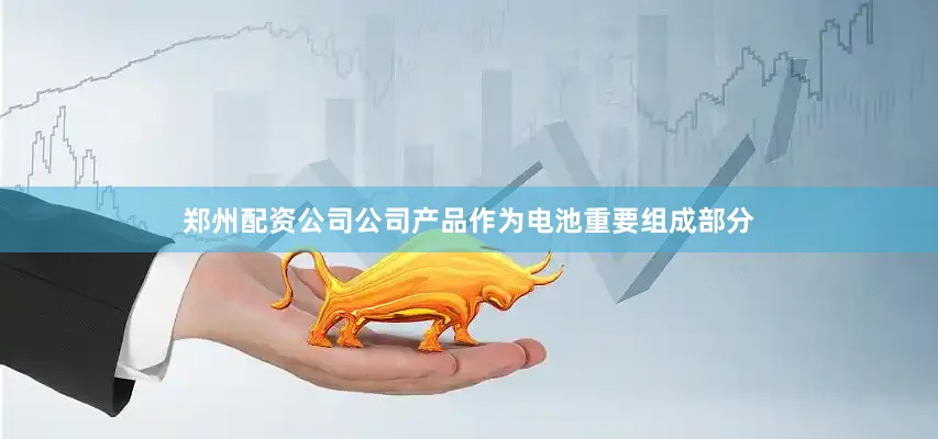 郑州配资公司公司产品作为电池重要组成部分